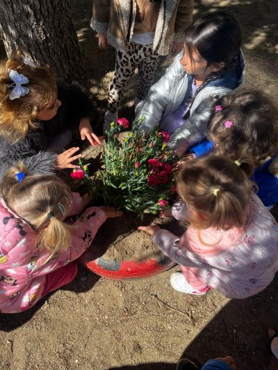 Денят на Земята  5